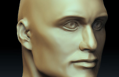 Head – Anatomy Study